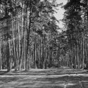 ?Niepospolity reżyser żywych obrazów życia codziennego?. Hr. Stanisław Kazimierz Kossakowski i jego fotograficzne uniwersum