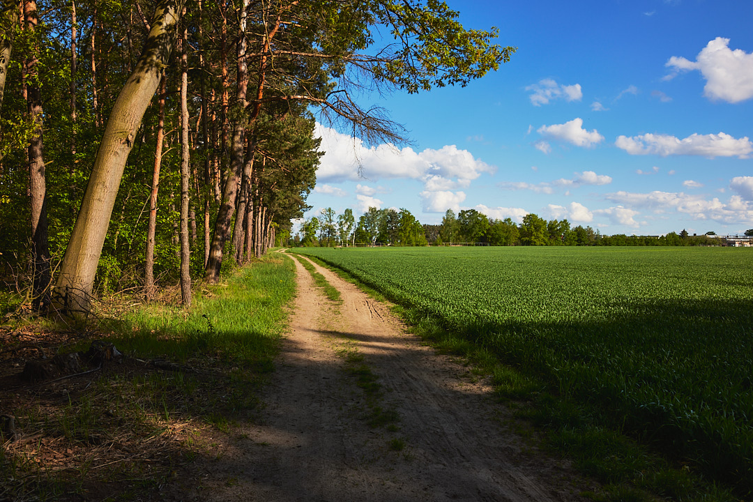 Miłoszyce