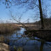 Okolice Jelcza-Laskowic